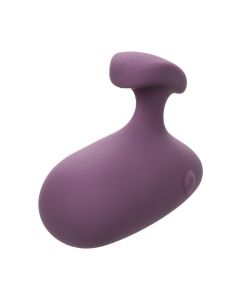 Vibrator CalExotics Mod Touch - Paars